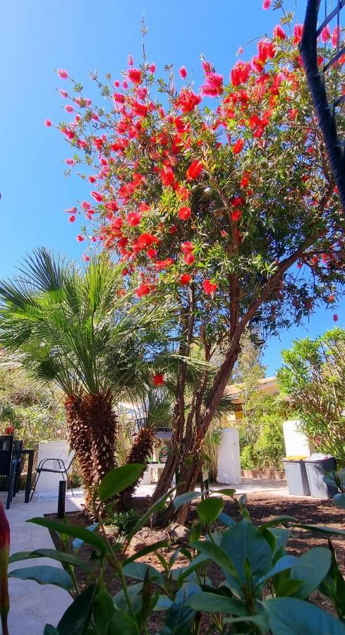 La Villetta Tre Palme Valledoria  Ngoại thất bức ảnh